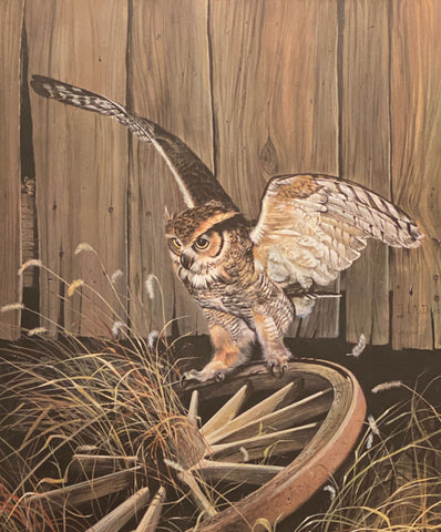 R.J. McDonald The Big Wheel S/N Owl Art Print 20 x 24