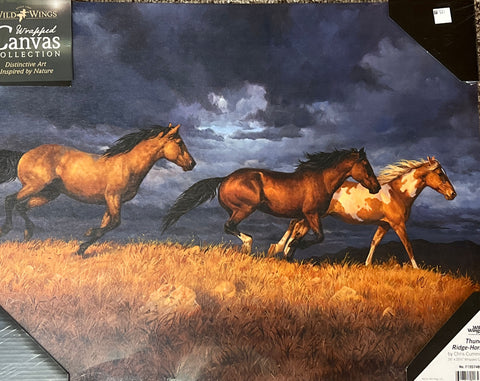 Chris Cummings Thunder Ride Horses Wrapped Canvas 20.5 x 16
