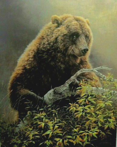 Jorge Mayol S/N Grizzly Bear Print with COA Autumn Leaves (23x29)
