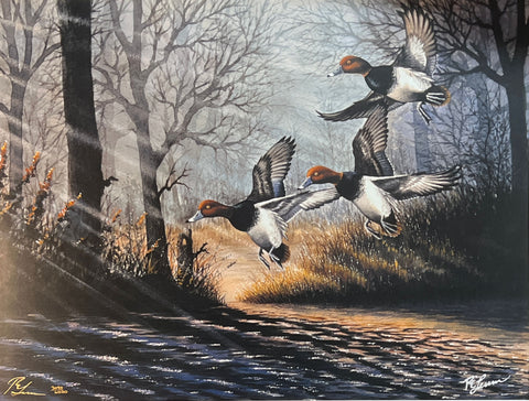 Robert Leum Signed and Numbered DU Duck Art Print Backwater Redheads (22.75x17)