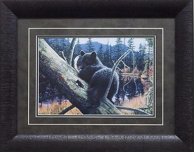 Liz Mitten Ryan Resting Place - Bear Print Framed 19 x 15