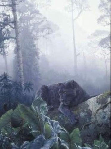 Daniel Smith African Ebony