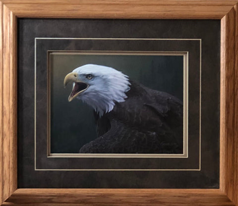 Daniel Smith Out of the Silence S/N Eagle Art Print-Framed