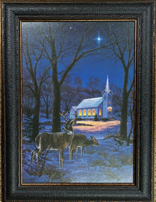 Darrell Bush A Midnight Clear-Framed