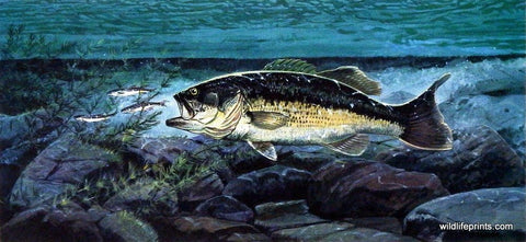 Dave Brandon A Little Too Late