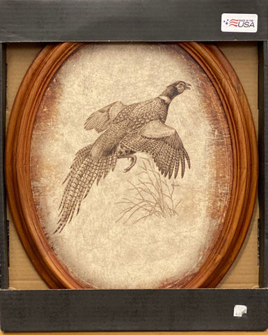 David Maass Pheasant Oval Framed Art Print 18 x 15