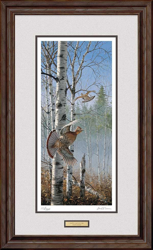 David Maass Rapid Departure Ruffed Grouse-Framed