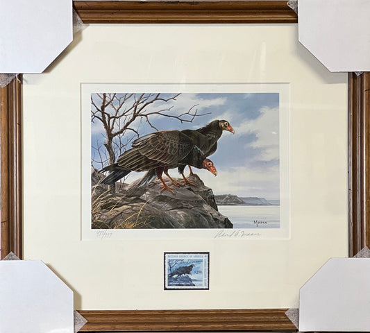 Davud Maass 1980 Buzzard Council of American Stamp print Framed 17.5 x 16