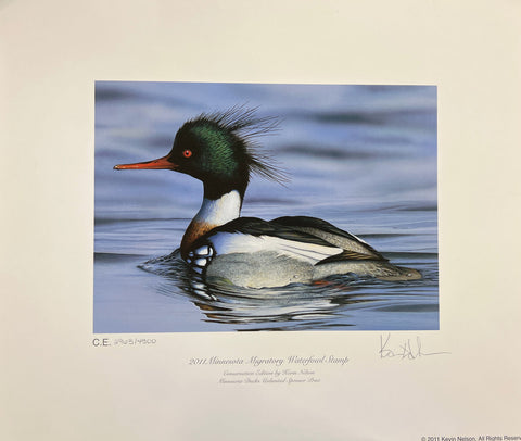Kevin Nelson Minnesota 2011 Migratory Waterfowl Stamp Print 14 x 12 Including Border