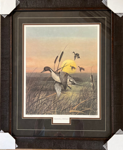 R.J Mcdonald Prairie Pintails Duck Art Print Signed  Artists Copy-Framed 26.5 x 32.5