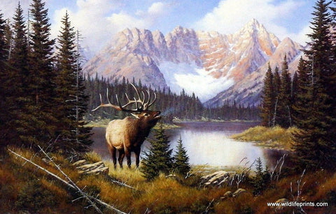 Derk Hansen Call Of The Wild - 12"x 8" Open Edition