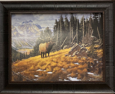 Derk Hansen Wapati Symphony Elk Art Print-Framed 20 x 16