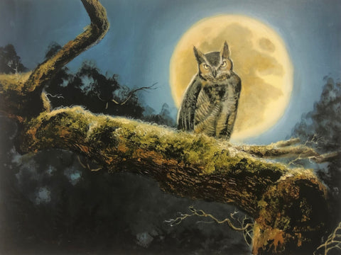 R. J. McDonald Night Watch Owl Full Moon S/N Art Print 21.5 x 16