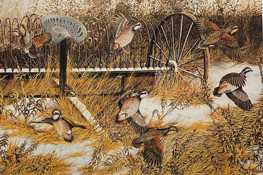 Donald Blakney Bob White Quail Farm Art Print 10 x 7