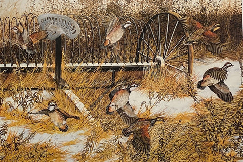 Donald Blakney Bob White Quail Farm Art Print 10 x 7