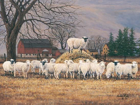Mohr, Wool Gathering Farm Sheep Art Print-18 x 12-FREE SHIPPING