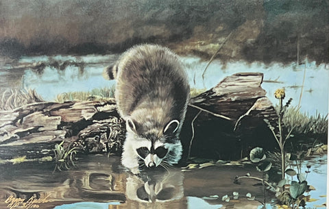 Brian Kuether Looking Good Raccoon S/N Art Print 12 x 7.75