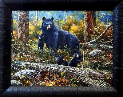 Jim Hansel "Age of Wonder" Bear Cub Studio Canvas Framed Print- 19" x 15"