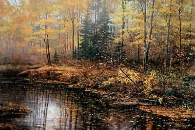 Scott Zoellick Autumn Mist S/N Fall Colors Print 30 x 20 with Certificate