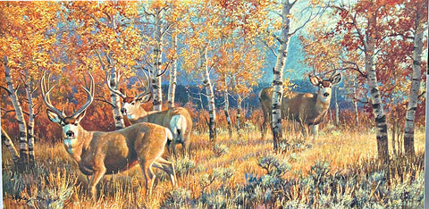 Nancy Glazier Morning Gold Deer Buck S/N Canvas Art Print 34 x 17
