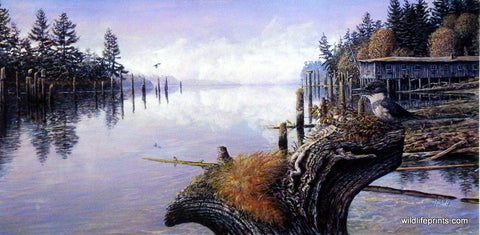 Ed Newbold September on the Siletz