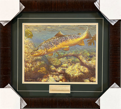 Mark Susinno Brook Trout Taking a Stone-Fly Nymph Art Print Framed 20 x 18