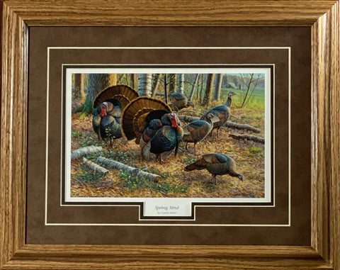 Cynthie Fisher Spring Strut Wild Turkey Art Print-Framed Oak-21 x 17