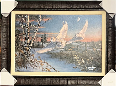 James Megar Cresendo Owl Art Print-Framed 29.5 x 22