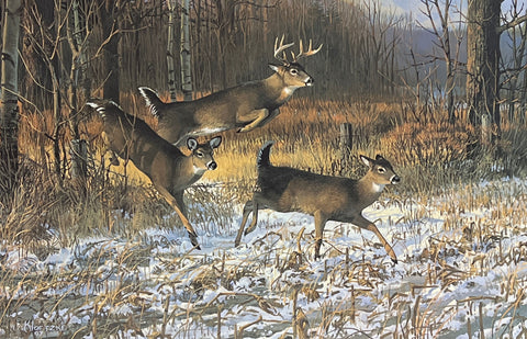 Don Kloetzke The Great Escape Deer Buck Doe Farm Field S/N Art Print  25 x 16.5