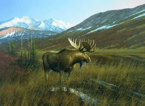 Micheal Sieve Alaskan Classic Moose Art Print S/N Art Print 24 x 17.5
