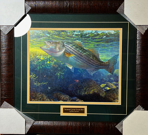 Mark Susinno Rockgarden Striped Bass Framed Print-20 x 18