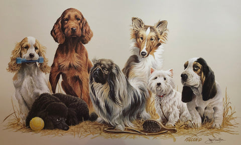 Jim Killen Prep Daze S/O Dog Art Print (26x16)