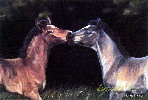 Diane Beach-Stamper Horse Art Print