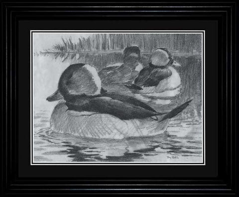 Terry Redlin Bufflehead Duck Pencil Sketch