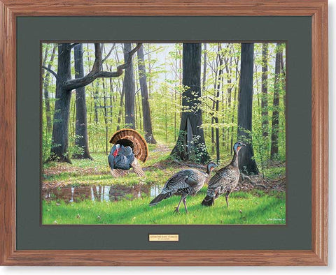 Mike Kasper After the Rain-Wild Turkey Print-Framed  31 x 25