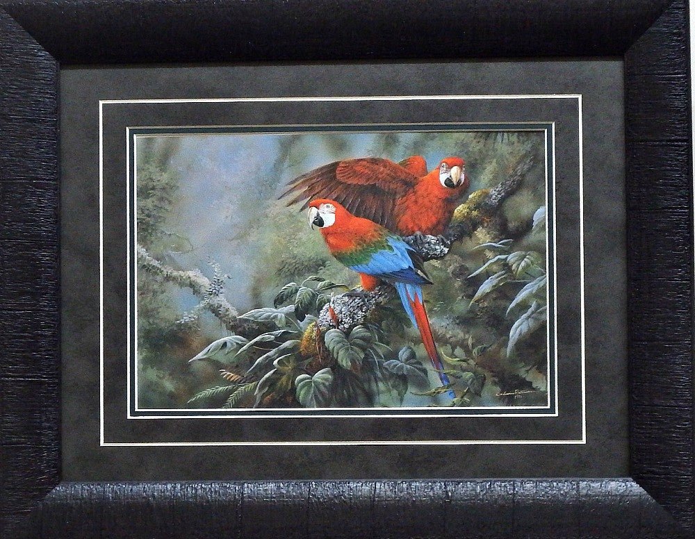 Gamini Ratnavira Green Wing Macaws-Framed
