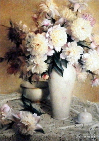Gary Hoff Peonies