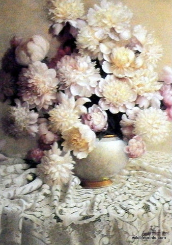 Gary Hoff Peonies & Lace