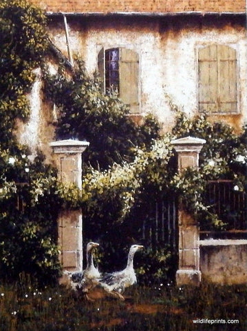 George Hallmark Nosey Neighbors