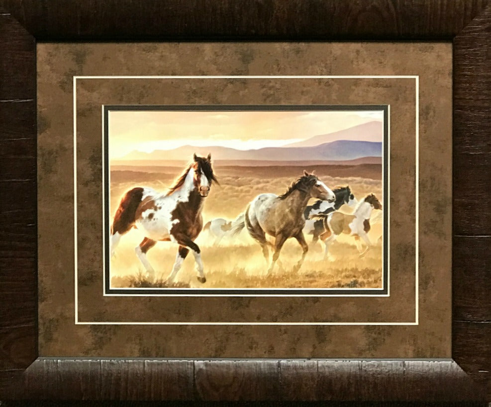 Nancy Glazier Domino Horse Art Print-Framed | WildlifePrints.com