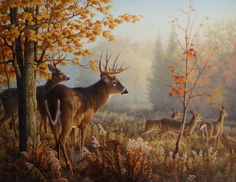 Gregg Alexander Throw Caution to the WInd