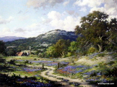 Larry Dyke Hill Country Evening