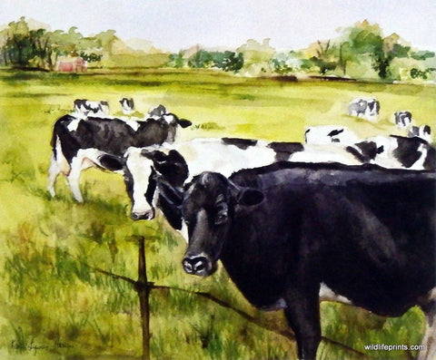 Karen Lyons-Hann Holstein Heaven
