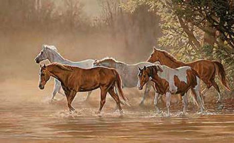 Chris Cummings Misty River Horse Print