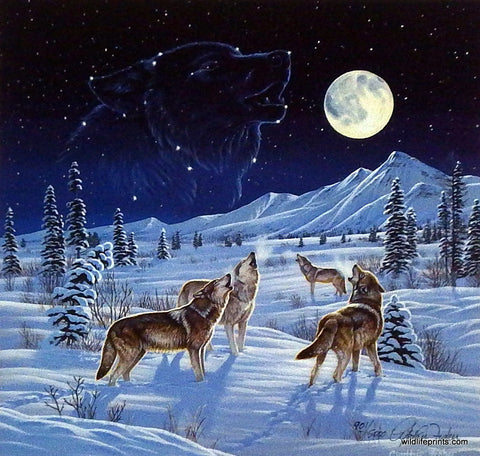 Cynthie Fisher Wolf Pack Picture MOONLIGHT SERENADE