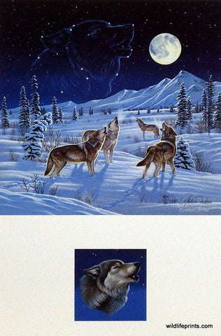 Cynthie Fisher Wolf Picture Moonlight Serenade