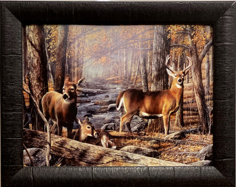Kevin Daniel Broken Silence Deer Buck Doe Art Print-Framed 19 x 15
