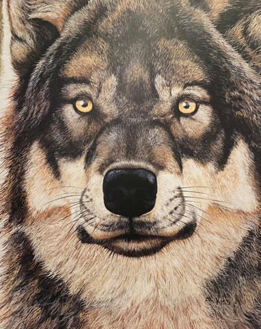 Andrew Kiss Intensity Wolf Art Print 24 x 30