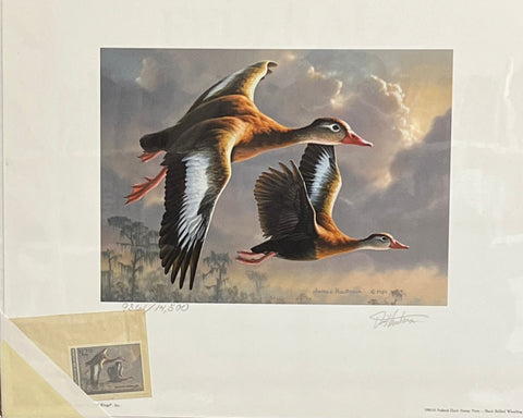 James Hautman 1990-91 Federal Duck Stamp print with Stamp-Protected by shrink wrap