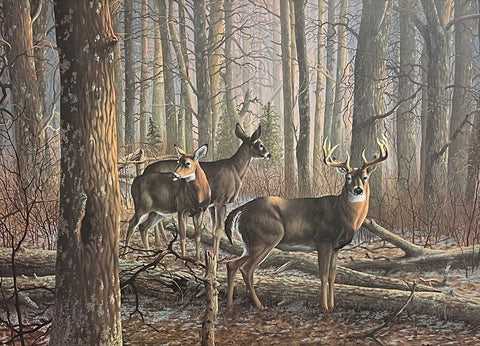 James Kennedy Autumn Solitude Deer Buck S/N Art Print Image 25 x 18